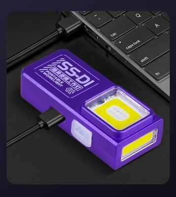 Source Supplier Mini Flashlight Outdoor Charging Windproof Lighter Multi-source Keychain Light